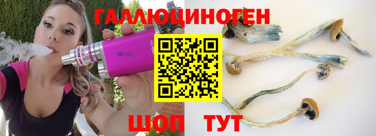 Галлюциногенные грибы Cubensis Кушва