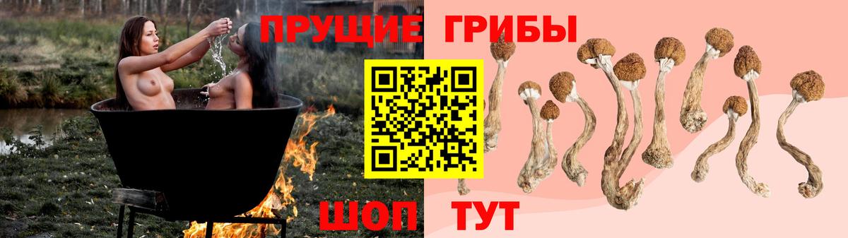 Галлюциногенные грибы мицелий  Вход с VPN  Кушва 